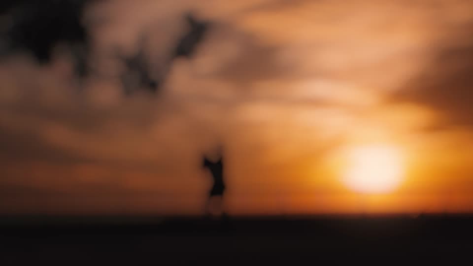 Soft Dreamy Blur transition preview