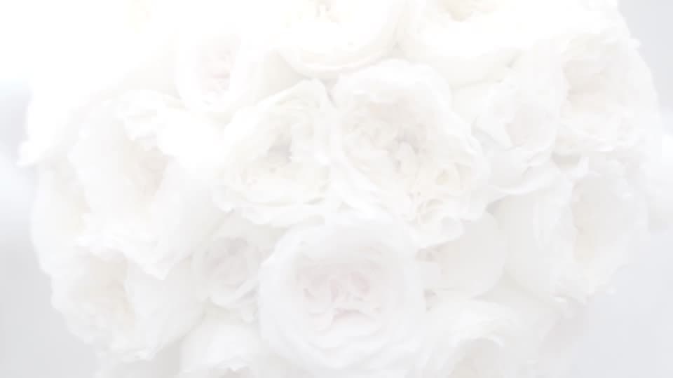 Elegant White Flash transition preview