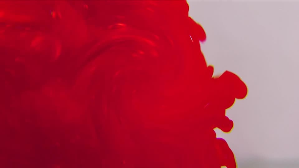 Organic Fluid Warp transition preview